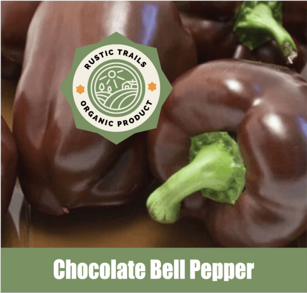 Chocolate Bell Pepper